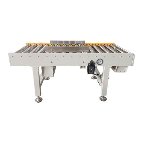 Case Packing Conveyor